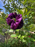 PURPLE POCKET SCRUNCHIE